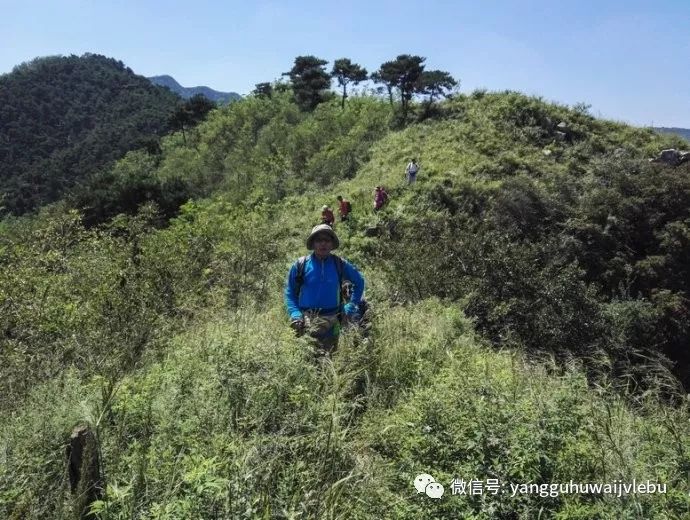 济南南部山区发展最新动态，脉络、展望与未来