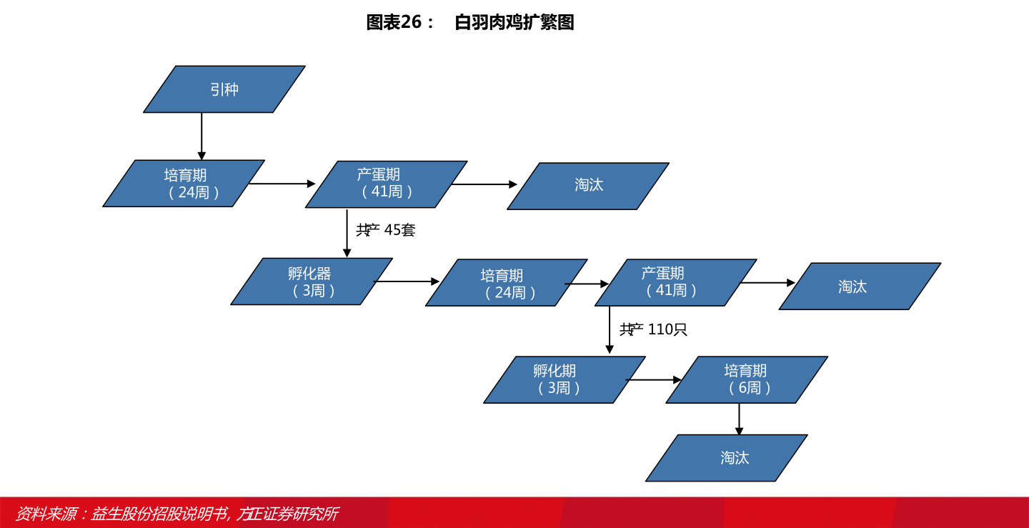 山东夏津棉籽价格动态分析与趋势预测