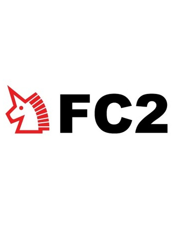 FC2最新域名探索，科技文化交汇的前沿领域