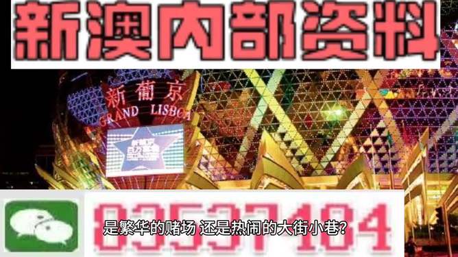 新澳精准资料免费大全,灵活性执行计划_特供版28.709