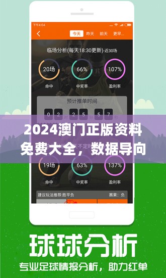 2024澳门正版资料免费大全,稳定评估计划方案_策略版30.305