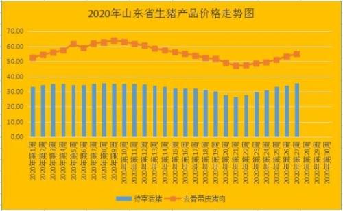 山东生猪价格最新动态分析报告